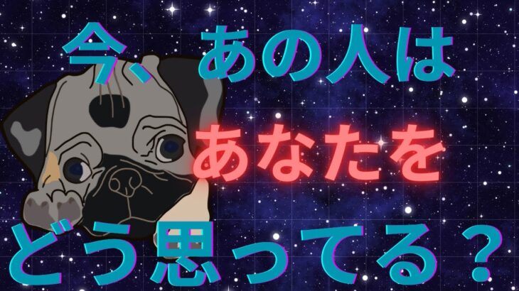 あの人にあなたへの素直な気持ちを聞きました❤️恋愛タロット占い ルノルマン オラクルカード 個人鑑定級に深掘りリーディング