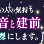 【超深掘り】あなたへの想い、意外なものでした😳お相手の本音と建前、強がり、印象、未来計画【男心タロット、細密リーディング、個人鑑定級に当たる占い】