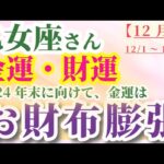 【乙女座の金運】 2024年12月1日から31日までのおとめ座の金運・財運。星とタロットで読み解く未来 #乙女座 #おとめ座