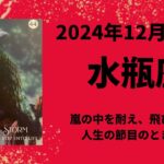 【水瓶座】分析と調査！周りを俯瞰して飛び立つ。運命のとき！【みずがめ座2024年12月1〜15日の運勢】