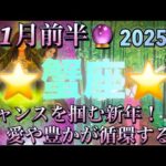 蟹座♋️さん⭐️2025年✨1月前半の運勢🔮チャンスを掴む新年‼️愛や豊かさが循環する✨タロット占い⭐️