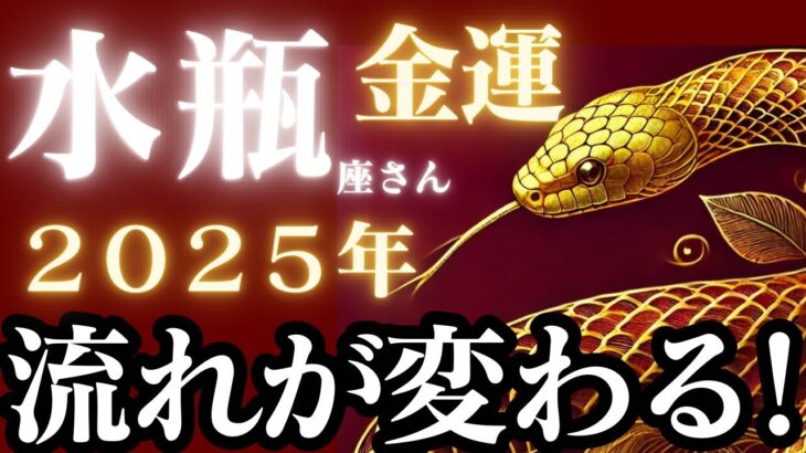 水瓶座さん2025年金運♒️お金のエネルギー高まる✨希望溢れる結果出ました👼【#占い #みずがめ座　#2025年】