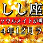 しし座♌︎2024年12月後半　弱さを出して💫本当のソウルメイトが明らかになる　Leo tarot reading