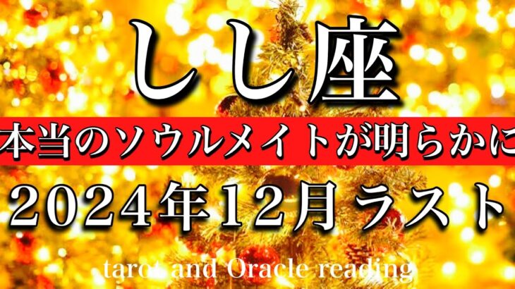 しし座♌︎2024年12月後半　弱さを出して💫本当のソウルメイトが明らかになる　Leo tarot reading