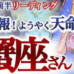 蟹座 12月前半～中旬【強力な救済とチャンスで大復活！人事を尽くして天命を待つ】大興奮展開！運気の新陳代謝　かに座　2024年１１月運勢　タロットリーディング