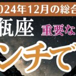 【2024年12月の水瓶座の運勢】星とタロットで読み解く恋愛運・金運・健康運・仕事運