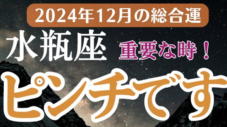 【2024年12月の水瓶座の運勢】星とタロットで読み解く恋愛運・金運・健康運・仕事運