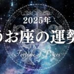 【占い】愛するものを追究するターニングポイント！2025年うお座の運勢！【西洋占星術 魚座】