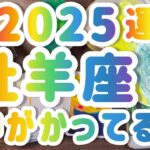 【牡羊座 】2025年運勢　神展開！！！！！！！一変します❤️‍🔥  年間リーディング占い　　 #カードリーディング