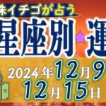 ★忖度なし★2024年12月9日〜12月15日の星座別の運勢★運気を上げるアドバイスつき★