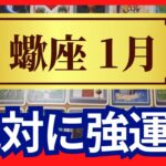 【蠍座♏1月運勢】うわっすごい！個人鑑定級のグランタブローリーディング✨絶対に強運　間違いない！今までの厄が浄化されて願いが叶っていく（仕事運　金運）タロット＆オラクル＆ルノルマンカード