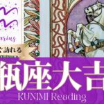 水瓶座♒成功して安定をもたらす大吉報🏇もうすぐ訪れる大吉報🏇どんな大吉報が🏇いつ頃訪れる？🌝月星座みすがめ座さんも🌟タロットルノルマンオラクルカード