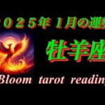 牡羊座♈  【2025年1月の運勢】   良いご縁、豊かさ繁栄🌈なのにナイーブになりがち気をつけて✨