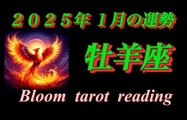 牡羊座♈  【2025年1月の運勢】   良いご縁、豊かさ繁栄🌈なのにナイーブになりがち気をつけて✨