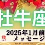 【おうし座1月前半】わぁー😍新年早々いいこと続く🪅🎉新しい道を切りひらく🌈魅力も開花🦋