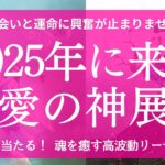 【2025年あなたの運勢】恋の神展開が起こる💘あなたに必要な重要メッセージ 流れが変わります テーマ 課題 愛され方  お相手の特徴 タロット&オラクル 魂を癒す高波動リーディング