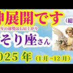 【蠍座の総合運】2025年（1月～12月）のさそり座の総合運。星とタロットで読み解く未来 #蠍座 #さそり座