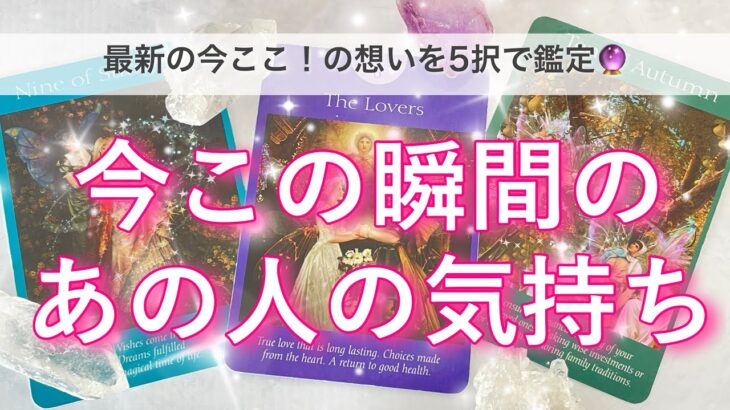 【最新✨恋愛5択💖】今この瞬間のあの人の気持ち🔮🦋