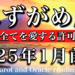 みずがめ座♒︎2025年1月前半 動いて良し🕊️自分の全てを愛する許可を出す💫Aquarius tarot  reading