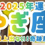 【山羊座】 2025運勢  こんな展開もう二度と出ない！！！！！　　 #カードリーディング