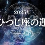 【占い】孤高の意識でチャレンジングな1年に…！？2025年おひつじ座の運勢！【西洋占星術 牡羊座】