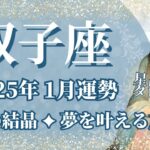 【ふたご座】1月運勢　努力と涙の結晶💪夢を叶える旅立ちのとき🌈幸運の鍵は、一つずつ積み重ねること【双子座 １月】タロットリーディング