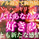 💕リアル過ぎて胸熱展開🔥❄️ Yes/Noハッキリでました！あの人はあなたの事が好き？それとも新たな感情が芽生えたのか？🦋