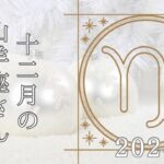 【山羊座さん♐︎】2024年12月の星座リーディング🌸🍀ぐっとがまん！