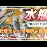 【2025.1月前半🍀】水瓶座さんの運勢🌈行きたかった場所への到達✨壮大なゴール、いざ始動！！！