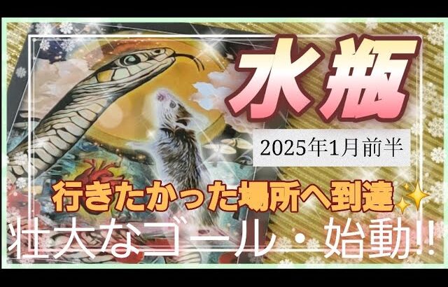 【2025.1月前半🍀】水瓶座さんの運勢🌈行きたかった場所への到達✨壮大なゴール、いざ始動！！！