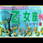 健康がすべてを制す🍀乙女座♍️さん【双子座満月🌕〜あなたを守っているものとは⁉️】#2024 #星座別 #タロット占い