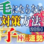 ★忖度なし★白珠イチゴが占う2024年冬至〜2025年春分の運勢★獅子座★