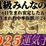 個人鑑定級【双子座♊】みんなの生まれ日占うよ！2025年運気予報　※いや〜なんかね、人生色々だね感激しちゃったよ〜　【タロット占い、オラクル占い】