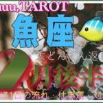 お祝い事で嬉しい締めくくり💐魚座♓️さん【12月後半の運勢✨16日〜31日の流れ・仕事運・対人運】#2024 #星座別 #タロット占い