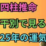 [四柱推命]2025年の運気を十干別でチェック！#44