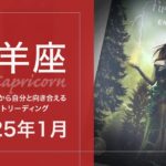 【やぎ座】努力の結果が訪れる・確信する！！・願いがことごとく叶う●2025年1月タロットリーディング【音声なし】【山羊座】