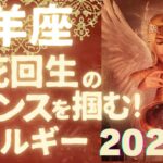 山羊座♑️第2弾🌠2025年あなたの起死回生のチャンスをサポートするエネルギー！サクッとタロット