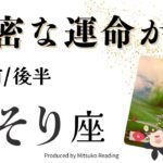 さそり座1月【濃密すぎる運命】嵐がきます❗️こんなドラマな展開ってある⁉️前半後半仕事恋愛人間関係♏️【脱力系タロット占い】