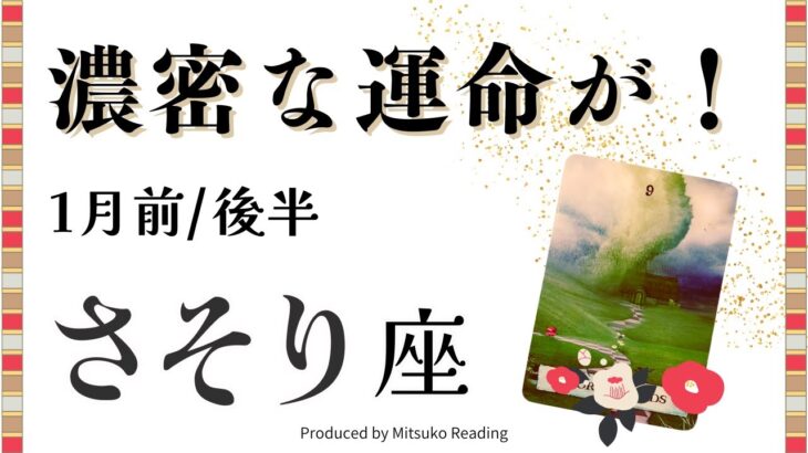 さそり座1月【濃密すぎる運命】嵐がきます❗️こんなドラマな展開ってある⁉️前半後半仕事恋愛人間関係♏️【脱力系タロット占い】