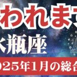 【水瓶座】2025年1月みずがめ座『報われます！』