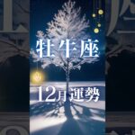 牡牛座♉️12月運勢✨2024