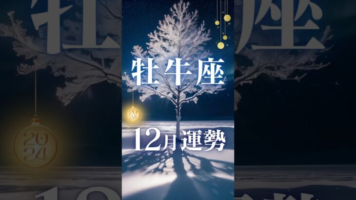 牡牛座♉️12月運勢✨2024