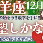 【山羊座】個人鑑定級!! 希望と奇跡のメッセージ🌈✨【仕事運/対人運/家庭運/恋愛運/全体運】12月運勢  タロット占い