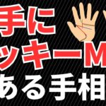 【手相占い】秘めたら運の良さをもつ?!左手にラッキーM線をもつ手相！