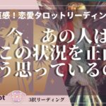 【タロット】【恋愛相談】あの人のお気持ち❤️今あの人は正直どう思っているの？状況、あなたについて、今後のことなど、深層心理を深く読んでいきます。疎遠、停滞、音信不通、複雑恋愛、など