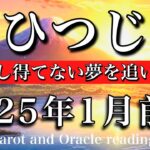 おひつじ座♈︎2025年1月前半　足並み合わせ終了🔥誰も成し得なかった夢を追いかける　Aries tarot  reading