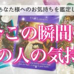 【最新✨恋愛💖】今この瞬間のあの人の気持ち🔮🦋ルノルマンカードとタロットカードで的確に鑑定します✨