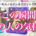 【最新✨恋愛💖】今この瞬間のあの人の気持ち🔮🦋ルノルマンカードとタロットカードで的確に鑑定します✨