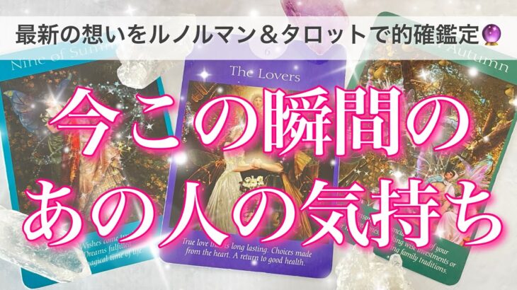 【最新✨恋愛💖】今この瞬間のあの人の気持ち🔮🦋ルノルマンカードとタロットカードで的確に鑑定します✨