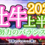 牡牛座2025年上半期🪽金運、人間関係が好調シーズン到来‼️これまでの愛や努力、頑張りが報われる💖バランス整う上半期✨